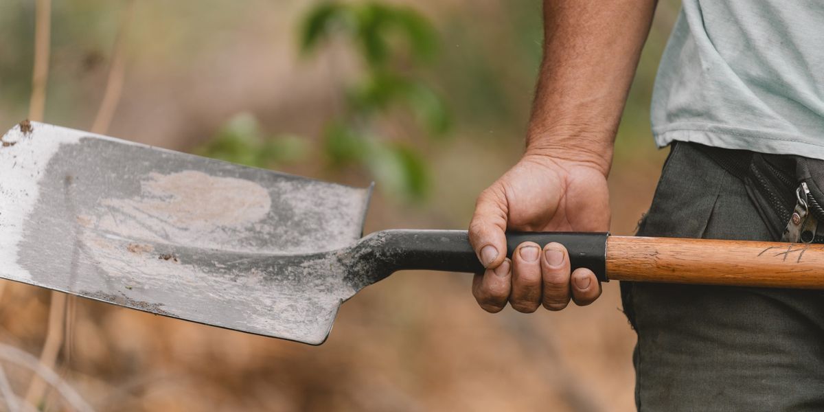 NextImg:Neighbour threatened man next door with a spade in noise row...before becoming 'best friends'