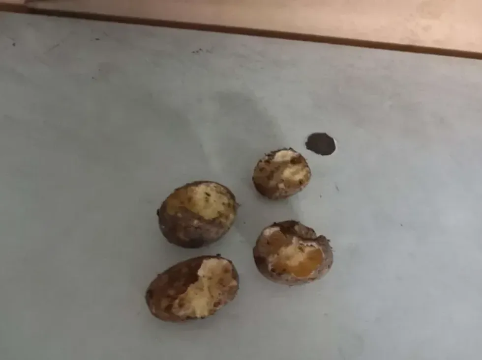 Manchester United-themed caf\u00e9