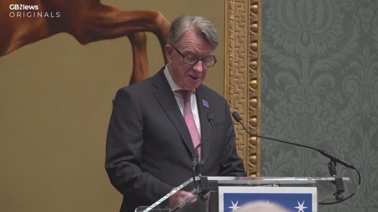 Who is actually running Britain? The Mandelson scandal raises the fundamental question - Bev Turner