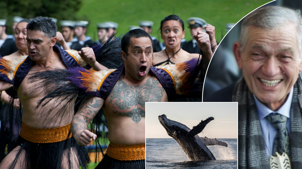 Maoris/Maori king/whales