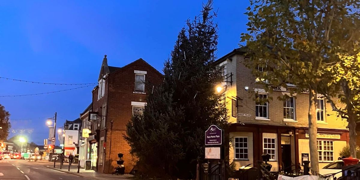 NextImg:Cambridgeshire's 'wonky' Christmas tree leaves locals baffled: 'It's embarrassing!'