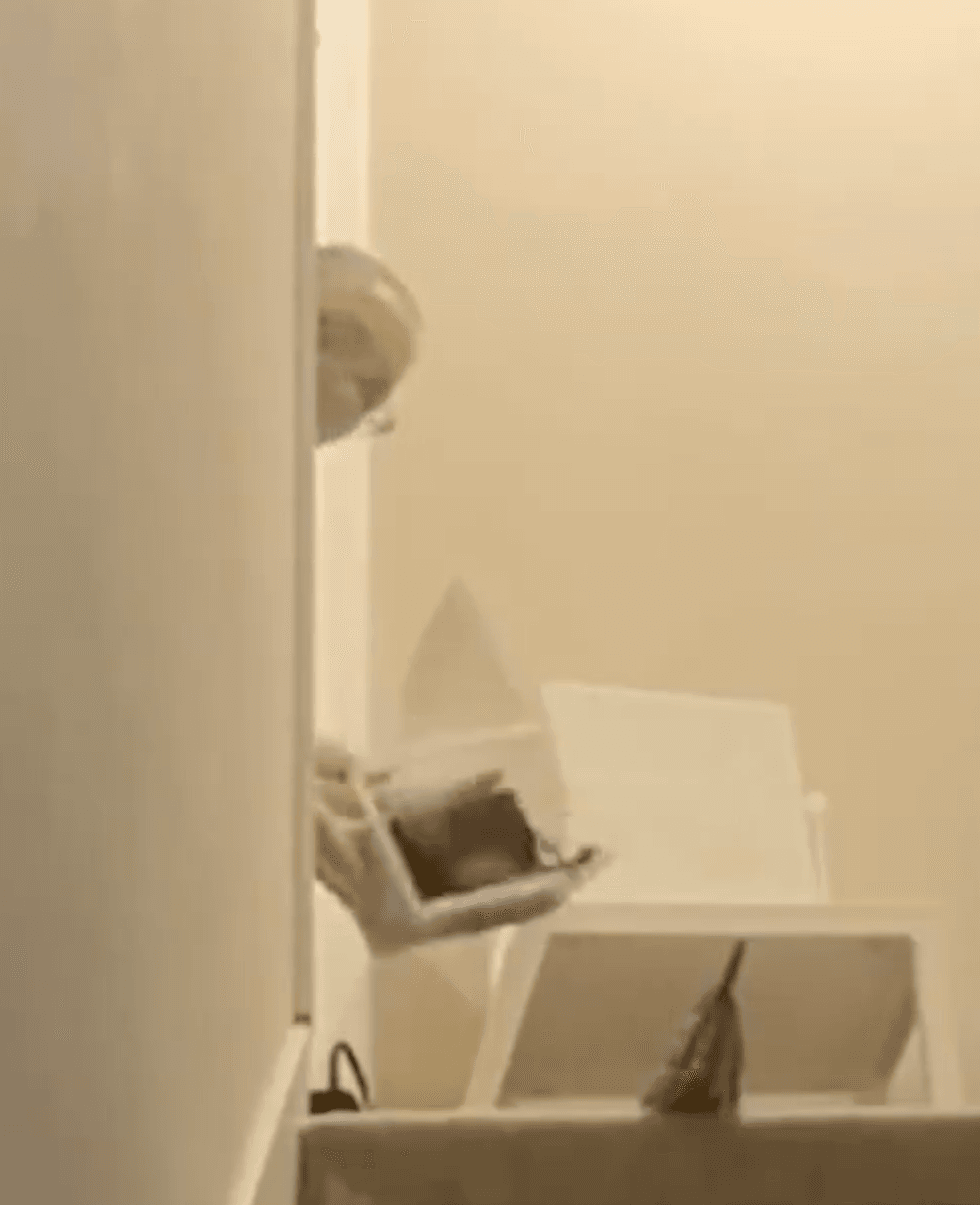 Tarântula de Marisa Simonetti