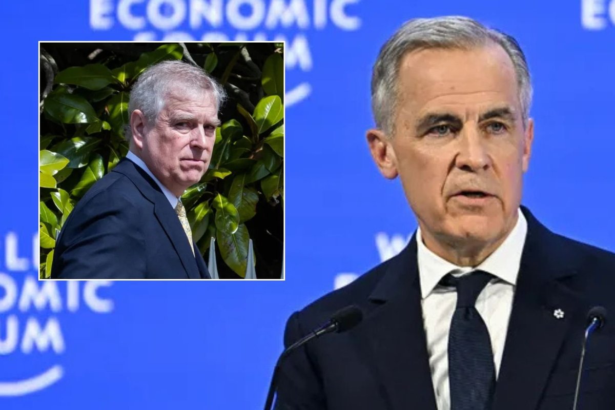 Mark Carney, Andrew Mountbatten-Windsor