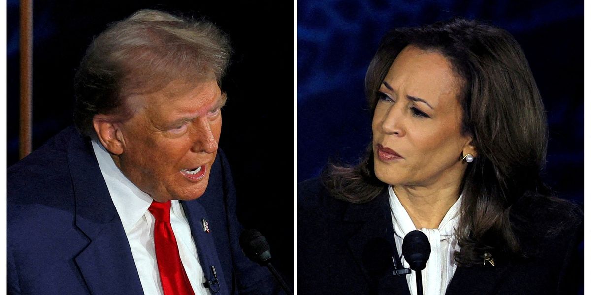 NextImg:'Lack of understanding could have consequences' as veteran Republican strategist warns of Trump supporters challenging potential Harris win