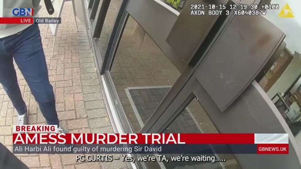 Ali Harbi Ali's journey to radicalisation revealed as killer guilty of murdering David Amess