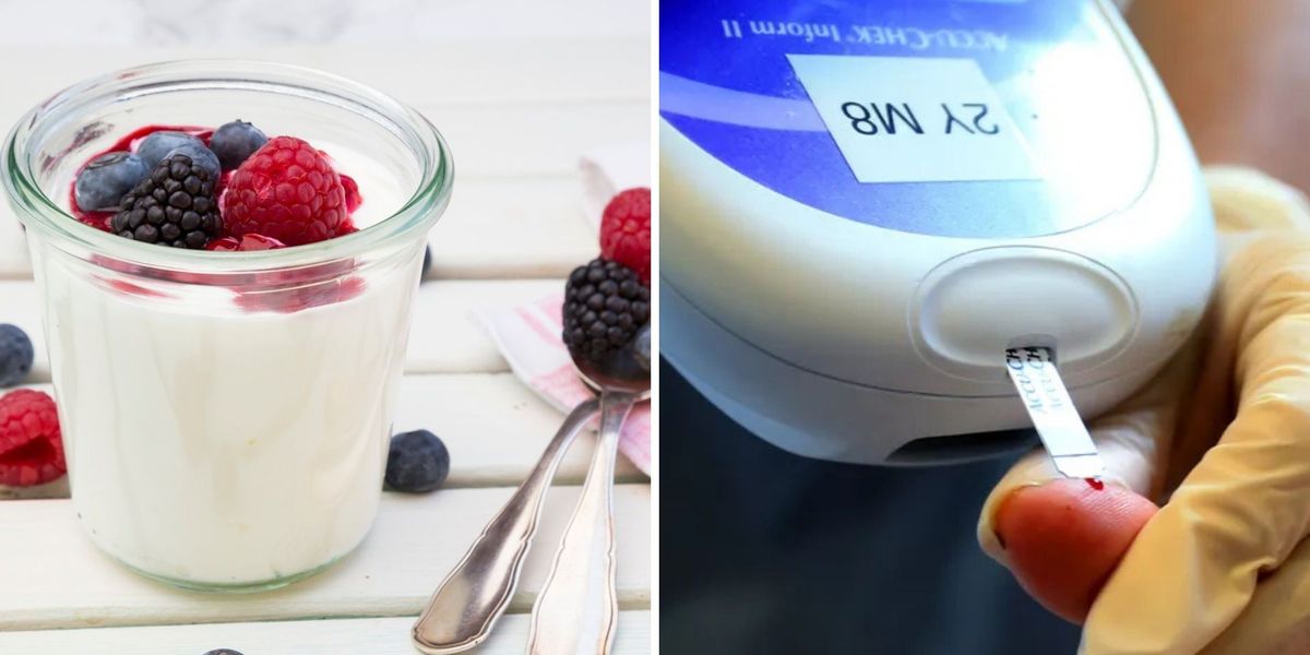 NextImg:How to reduce blood sugar: 5 breakfast foods that can help you regulate levels