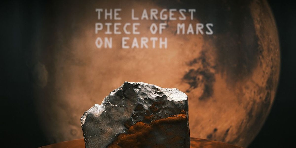 NextImg:Mars space rock found in Sahara desert sells for £3.2m - 'Incredibly rare!'
