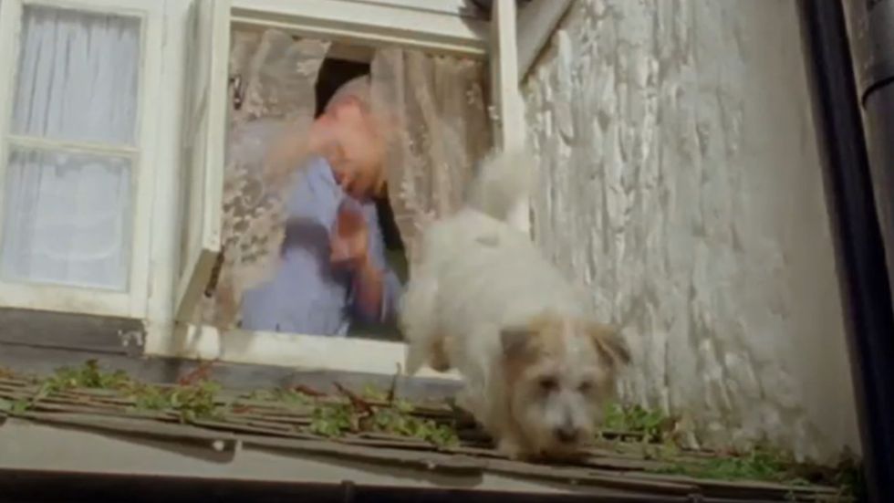 Martin Clunes and Dodger