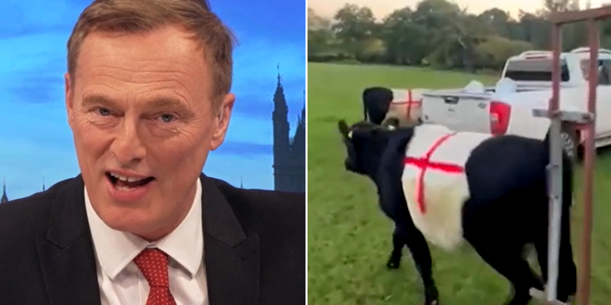 NextImg:Martin Daubney praises farmers who painted St George’s cross on cows - ‘A magnificent display of patriotism!'