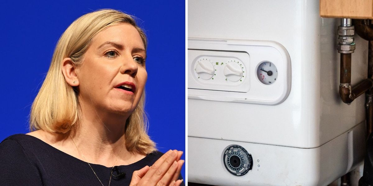 NextImg:'Boiler tax is an outrage and poorest who can't afford heat pump will suffer most'