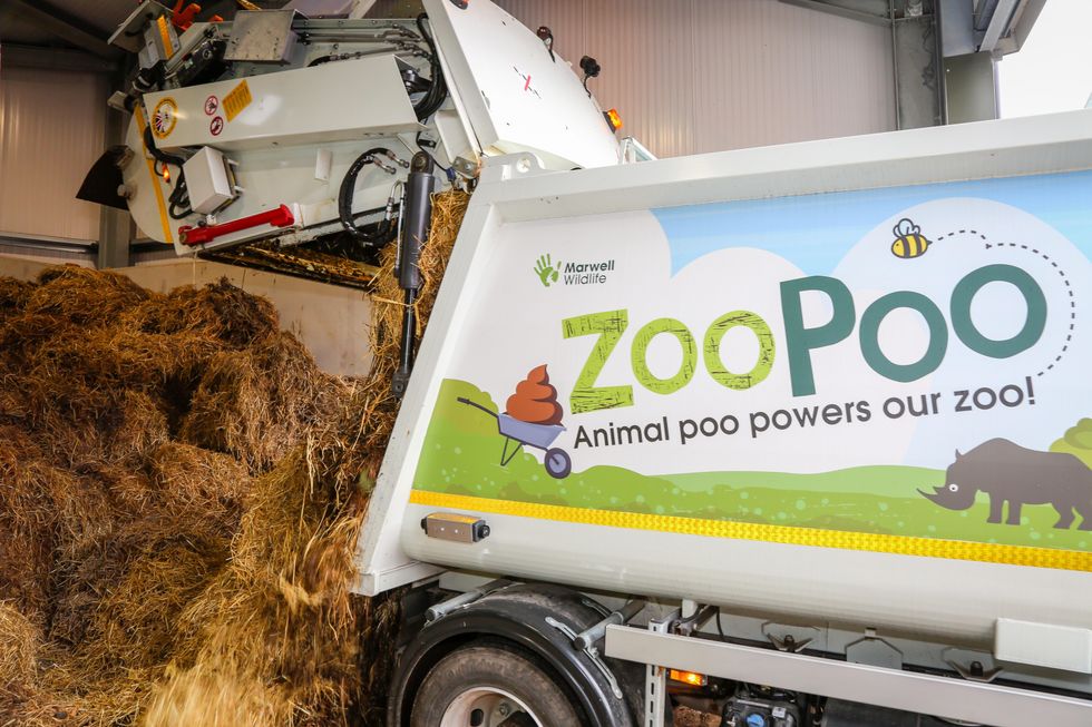 Marwell Wildlife manure being collected.