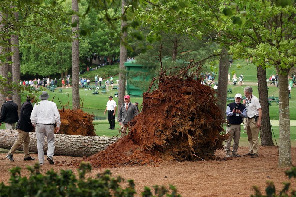 Masters tree