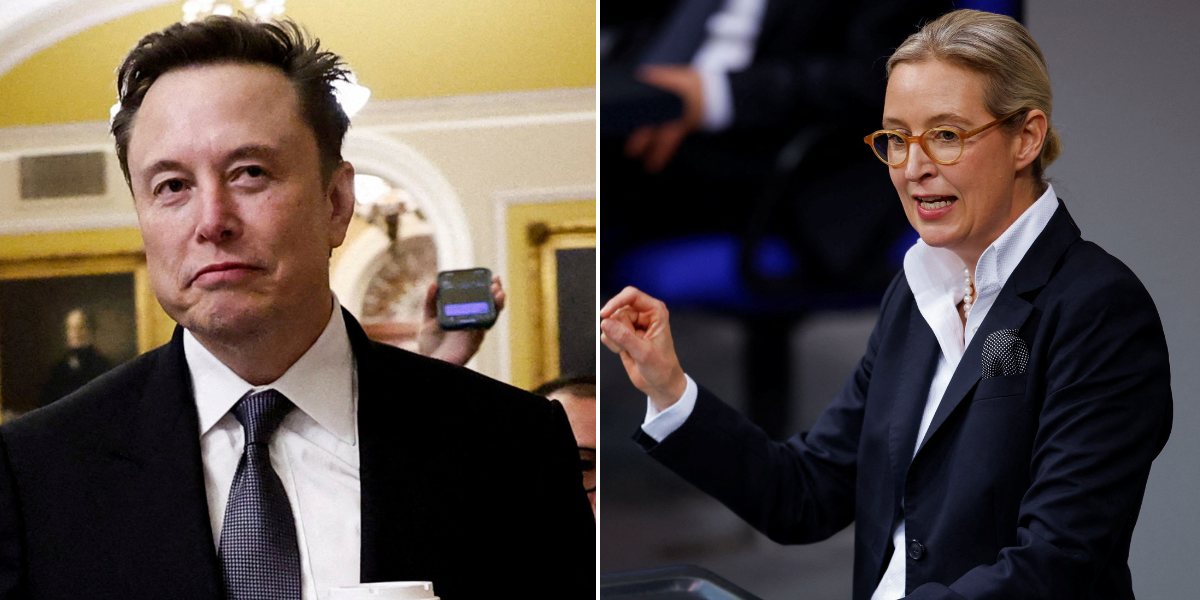 Elon Musk doubles down on AfD support and urges people not to liken party's  leader to Hitler