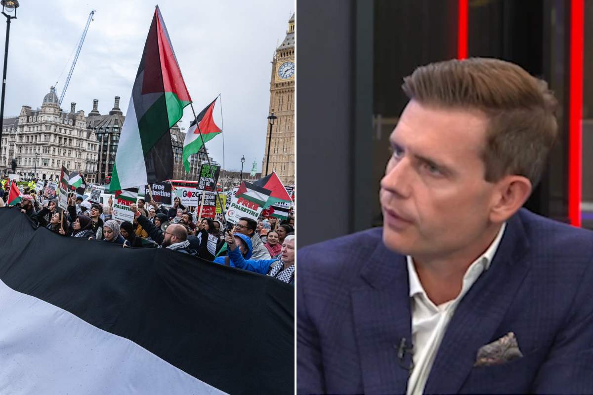 Matt Goodwin, Pro-Palestine protests