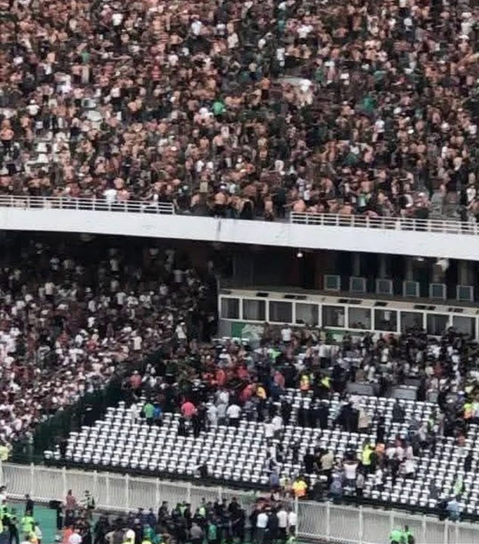 MC Alger fans