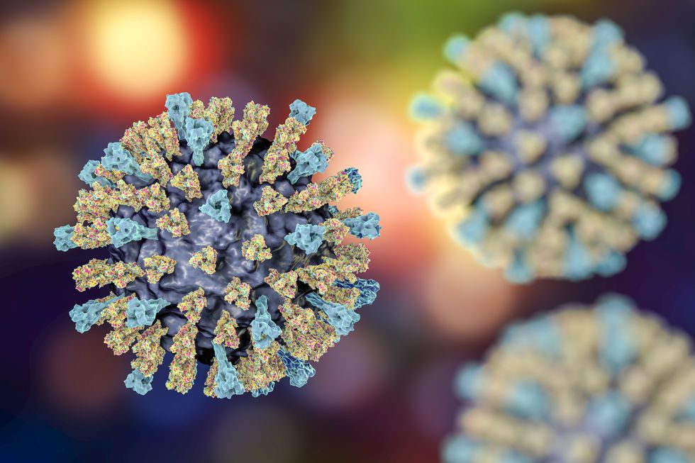 MEASLES ILLUSTRATION