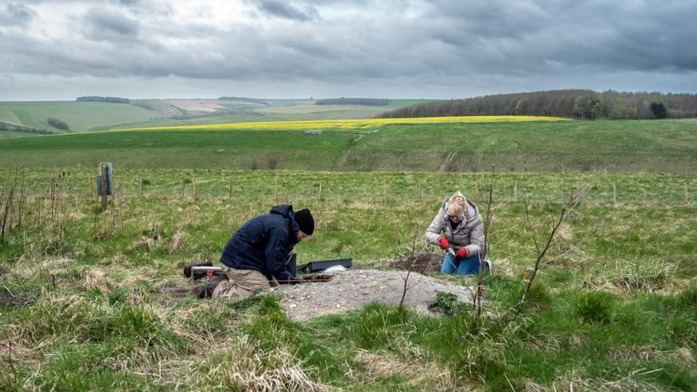Meat feast excavations