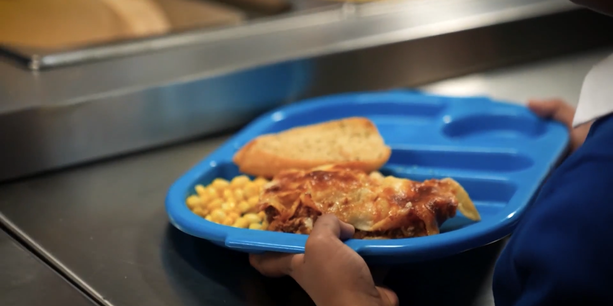 NextImg:'Let parents and children decide!' Councillor calls to end 'climate change' Meat Free Mondays in schools