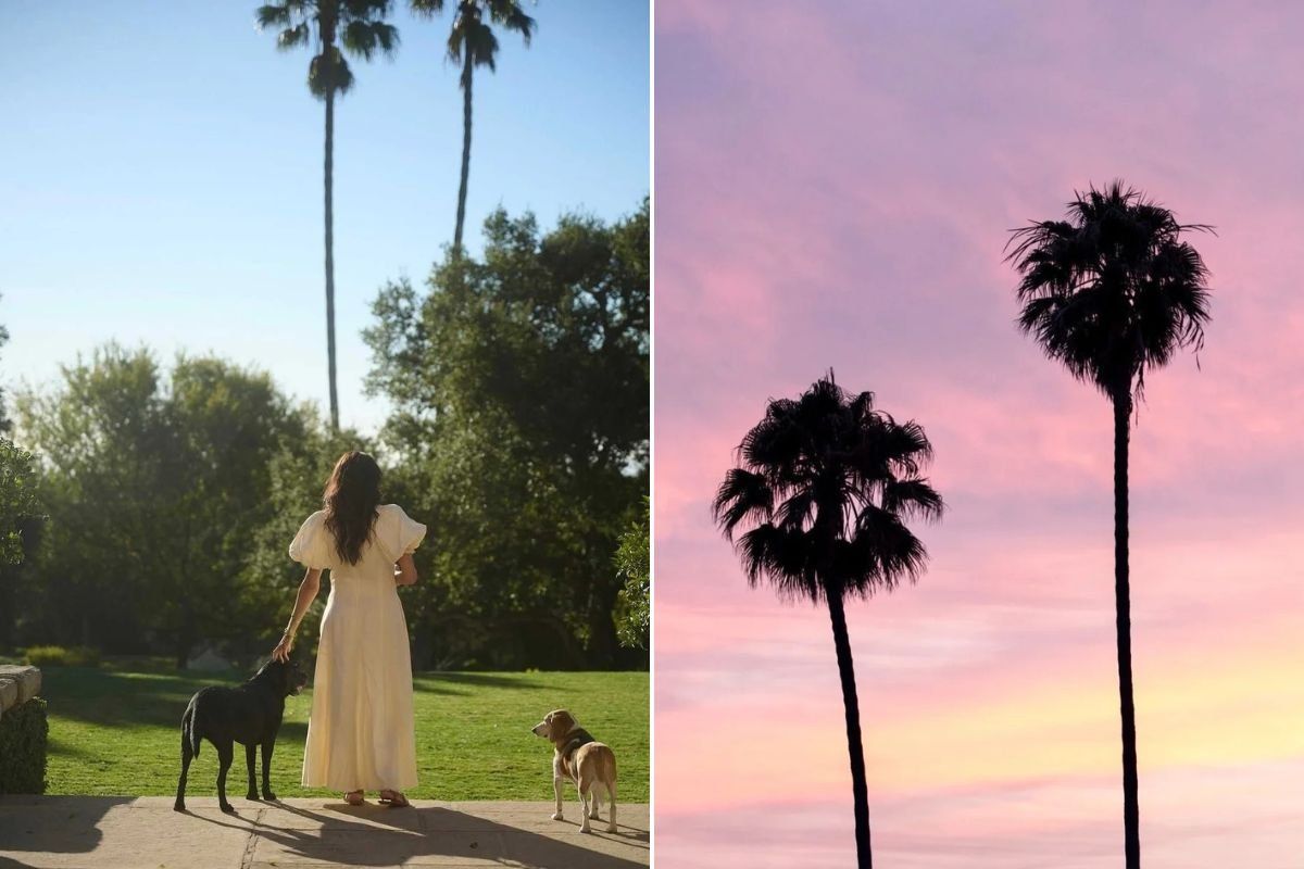 Meghan Markle and Montecito palms
