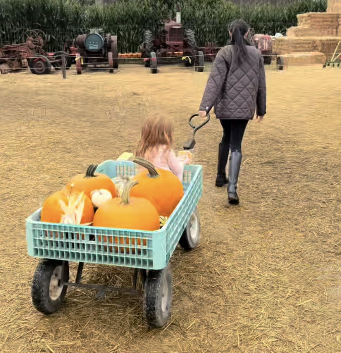 Meghan Markle and Princess Lilibet