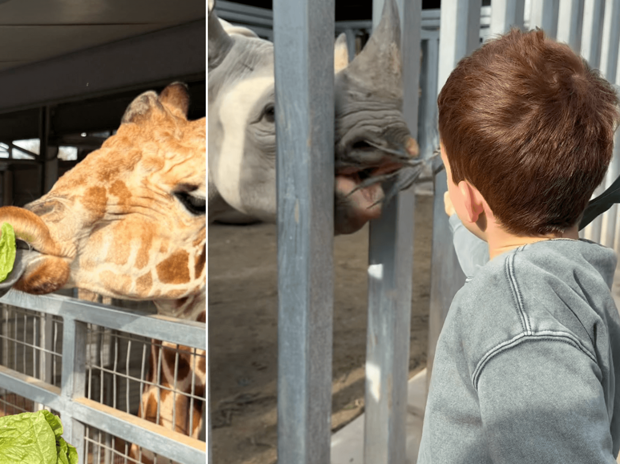 Meghan Markle, Prince Archie