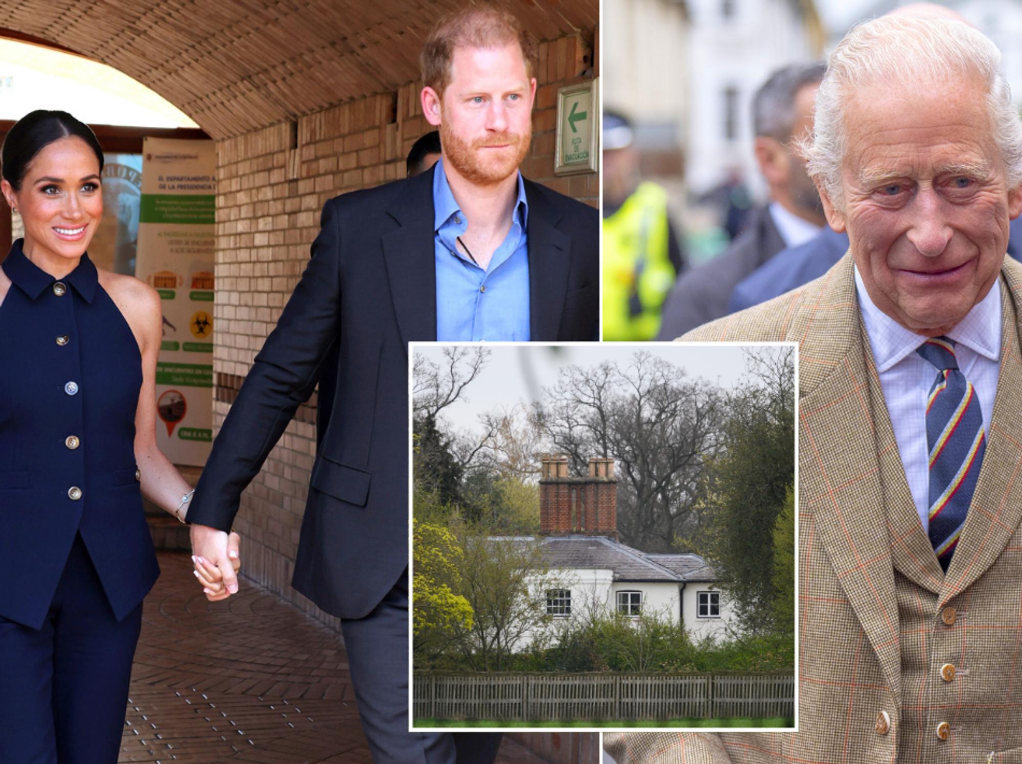 Meghan Markle, Prince Harry and King Charles