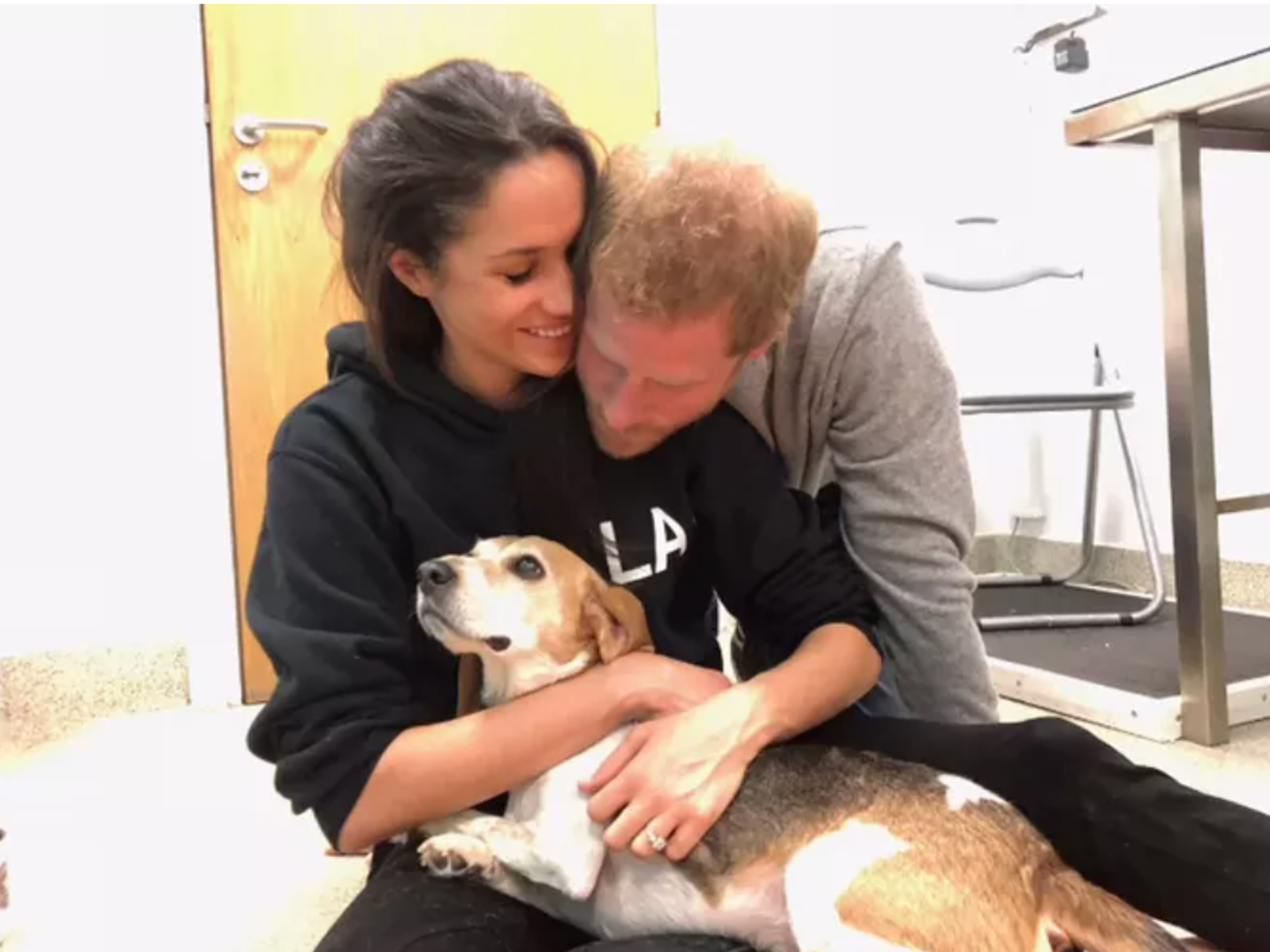 Meghan Markle, Prince Harry