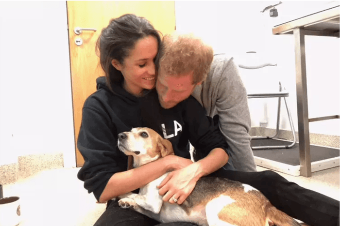 Meghan Markle, Prince Harry