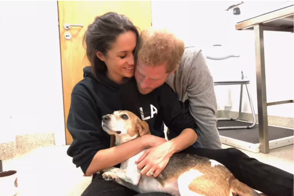 Meghan Markle, Prince Harry