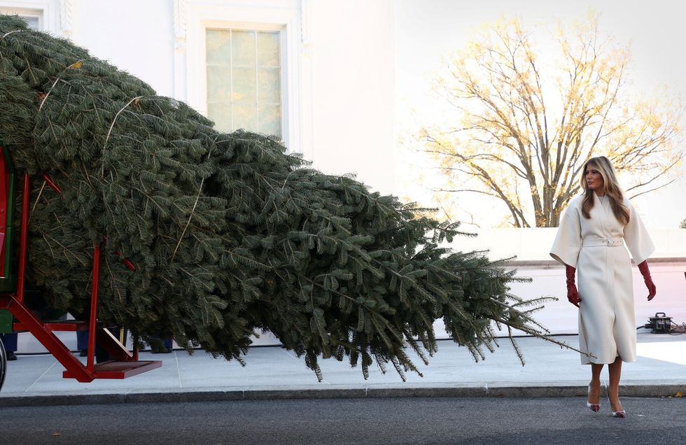 Melania Trump was previously snapped alongside a Christmas tree at the White House