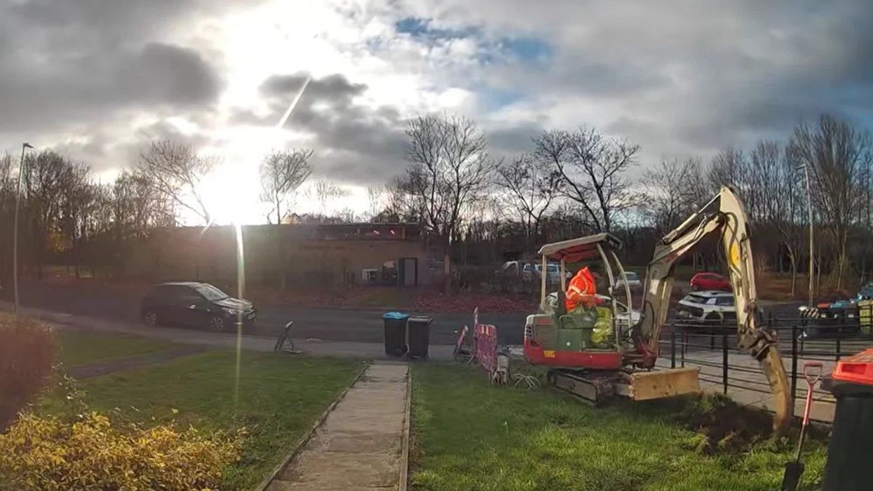 Melanie Abbott garden