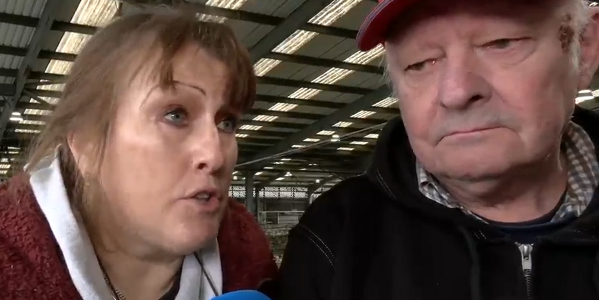 NextImg:Farmer warns small farms will ‘disappear like the dodo’ after Labour’s tax change