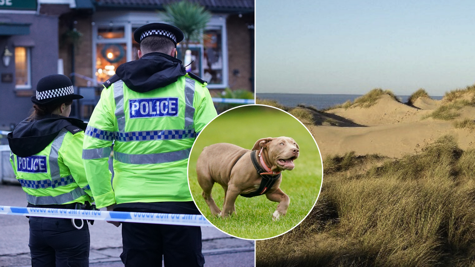 Merseyside Police/XL Bully/Formby sand dunes