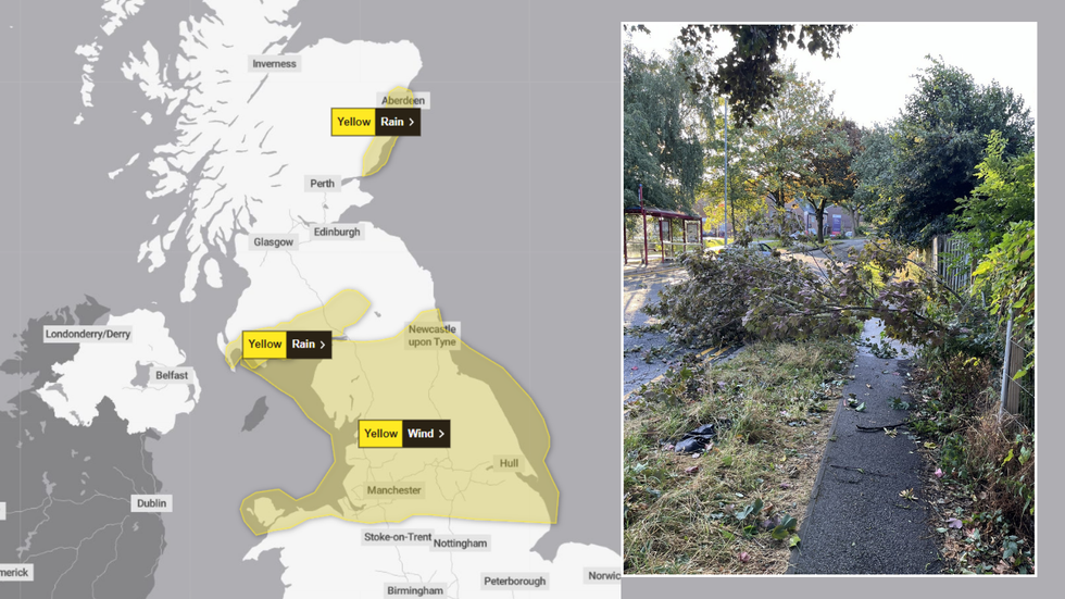 Met Office weather warnings/downed tree in Leeds