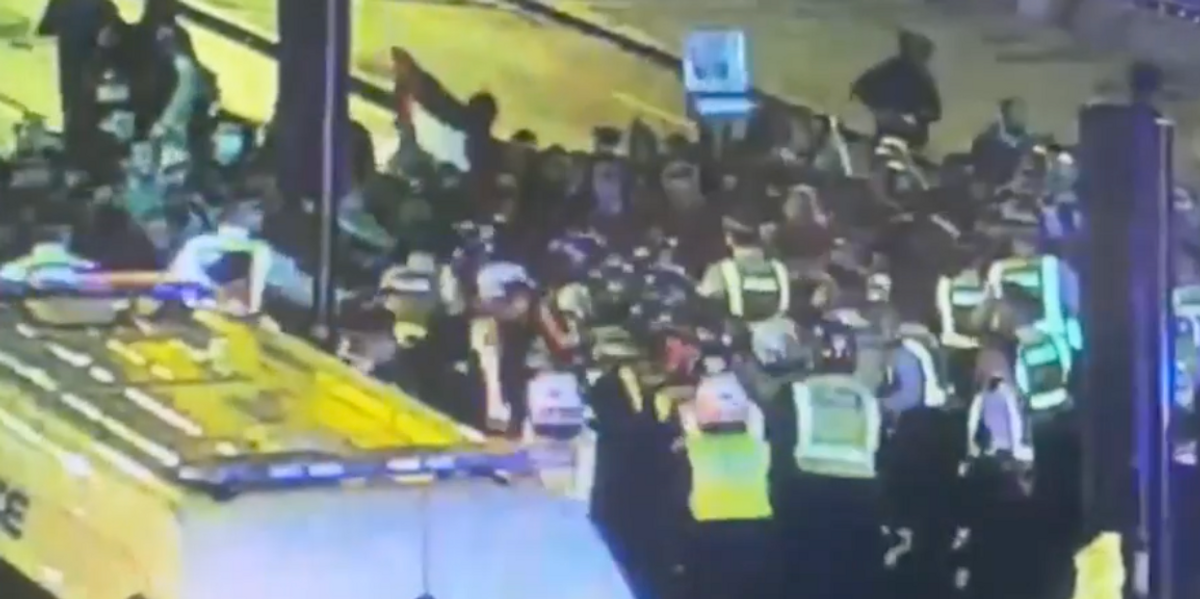 NextImg:WATCH: Pro-Palestine protesters clash with police in Westminster