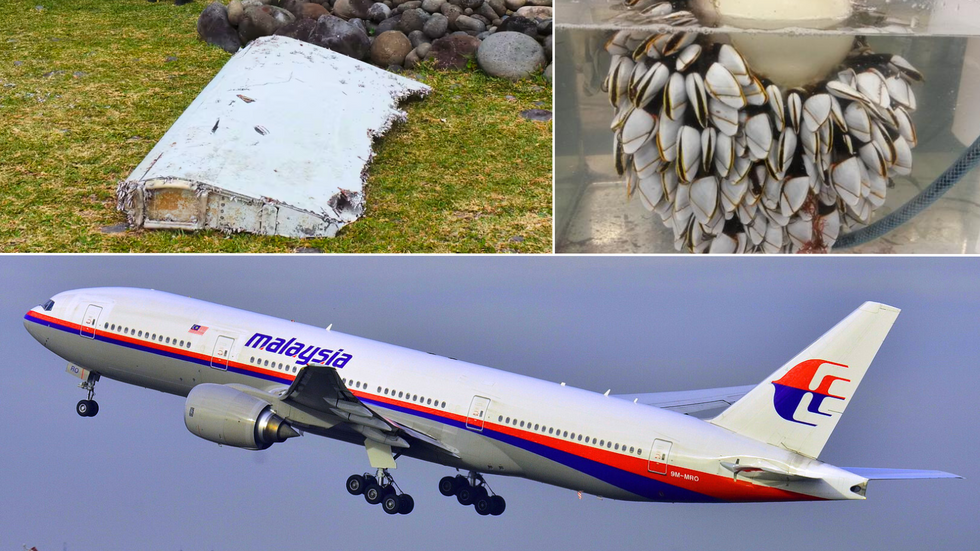 MH370/debris/barnacles