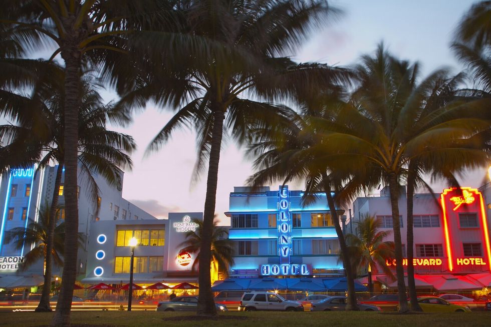 Miami hotels and palm trees
