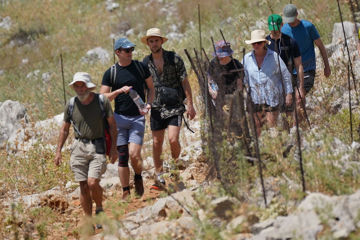 Michael Mosley search