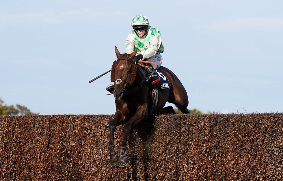 Michael Nolan has been handed a 10-day suspension by raceday stewards
