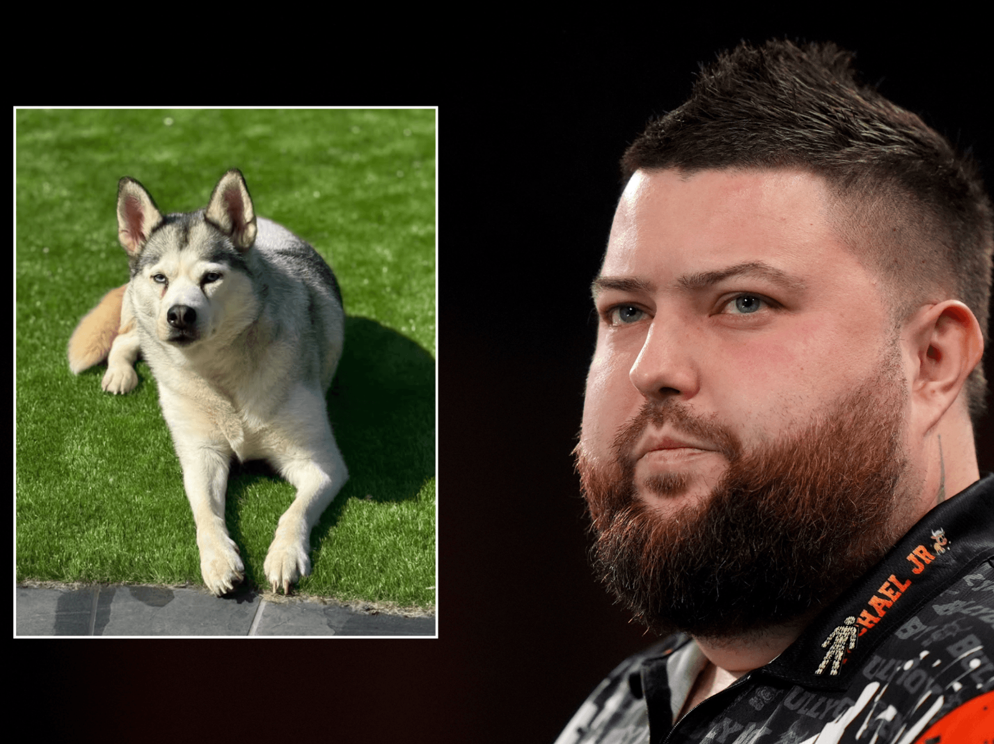 Michael Smith, Dog