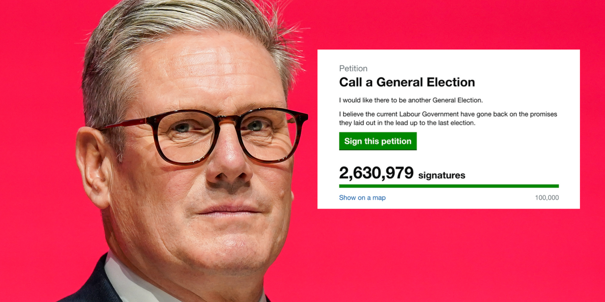 More than 2.6 million have signed the petition for a General Election - but how many will matter?