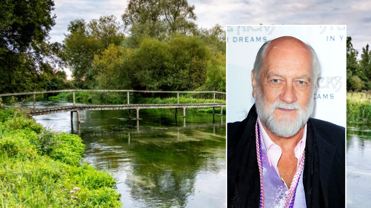 Mick Fleetwood Hampshire