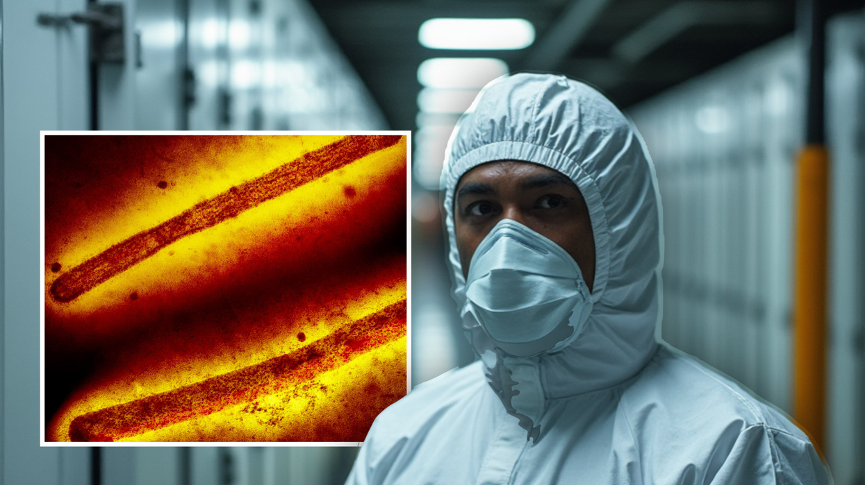 Microscopic images of three rod-shaped H5N1 bird flu virus particles (left), man in a hazmat suit (right)