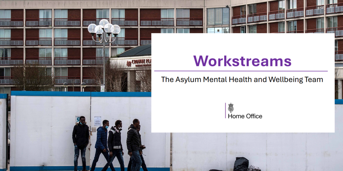 NextImg:EXPOSED: Home Office mental health scheme offers orchestra training and Afghan food to illegal migrants