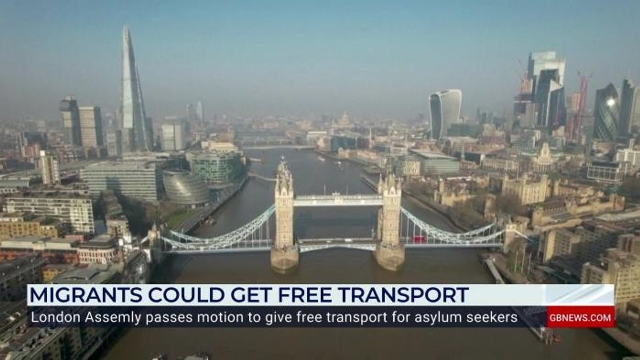 Martin Daubney lashes out at move that could see migrants given free travel in London
