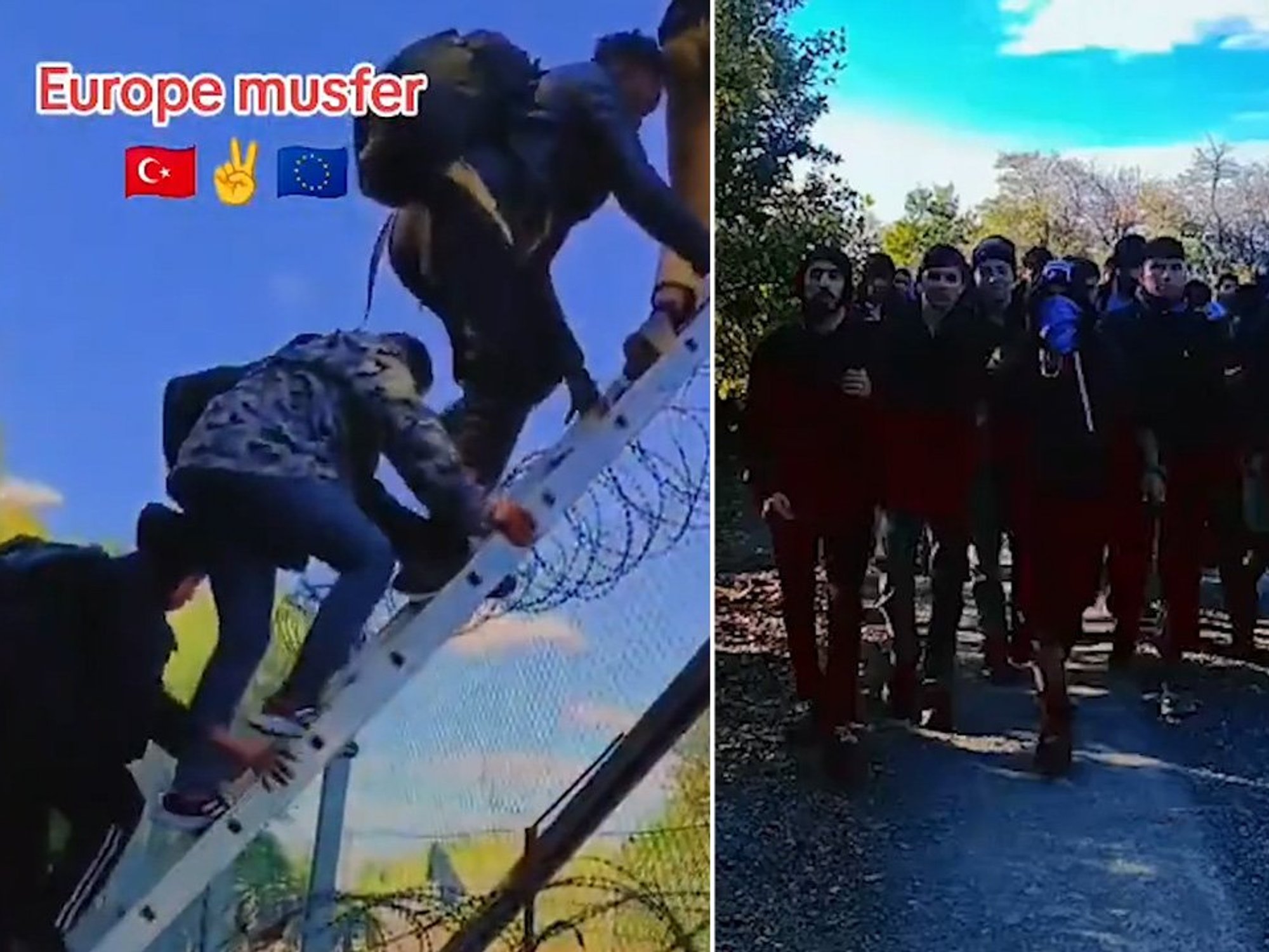 Migrants