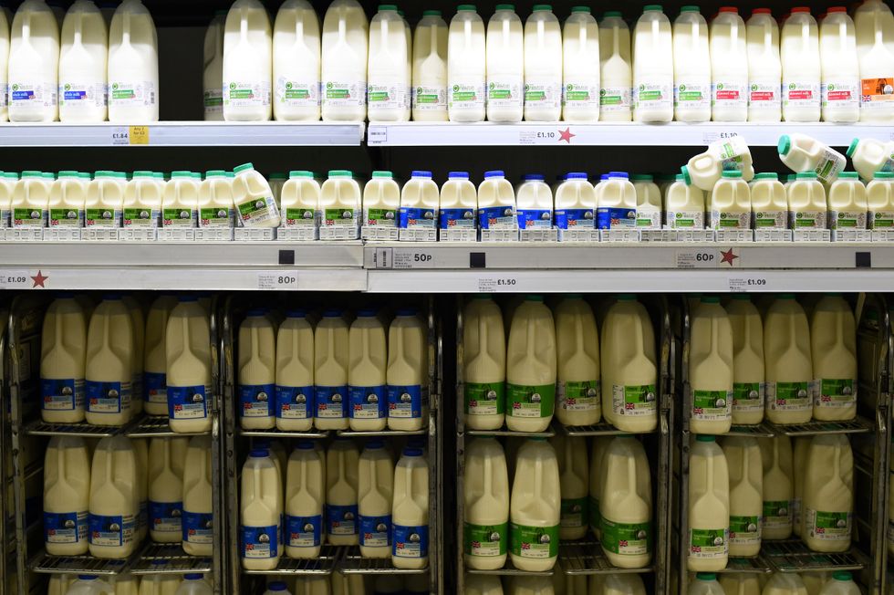 Milk cartons on shelves in Tesco