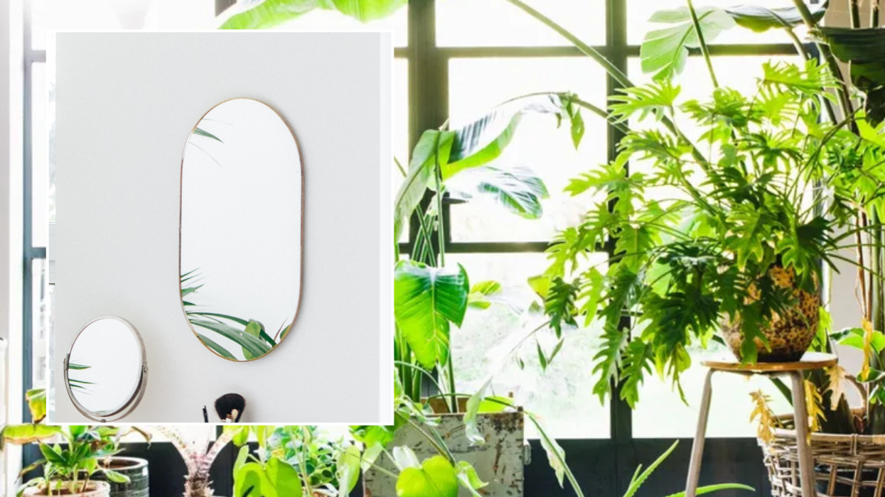 Mirror on wall / houseplants