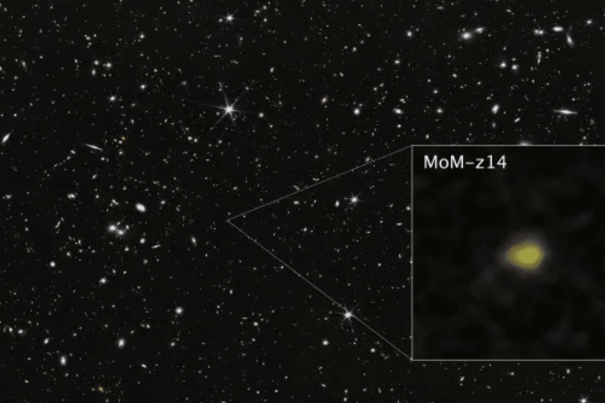 MoM-z14