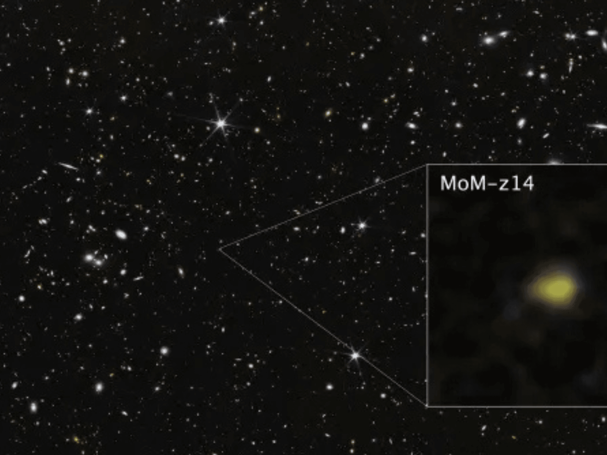 MoM-z14